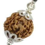 3 Mukhi Rudraksha (Silver Cap)
