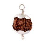 5-mukhi-rudraksh-with-silve