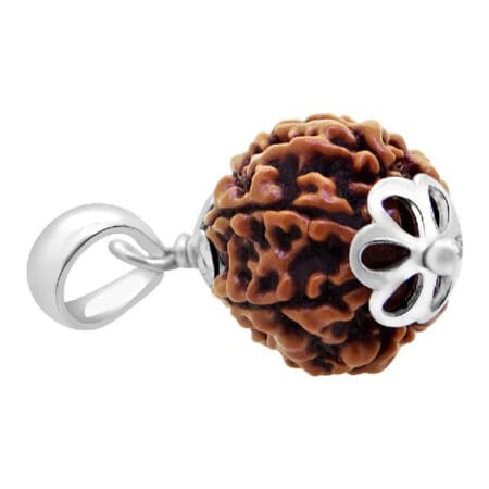 6 Mukhi Rudraksha with Silver Capping