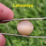 Cat’s Eye- Lahsunia 7 Ratti