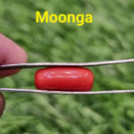 Coral- Moonga 7 Ratti