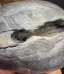 Laxmi Narayan Shaligram