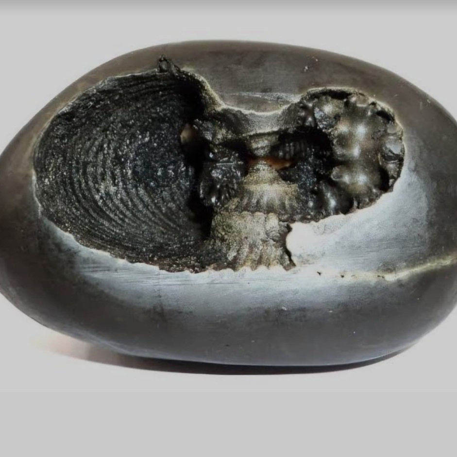 Laxmi Narayan Shaligram