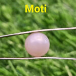 Pearl- Moti 7 Ratti
