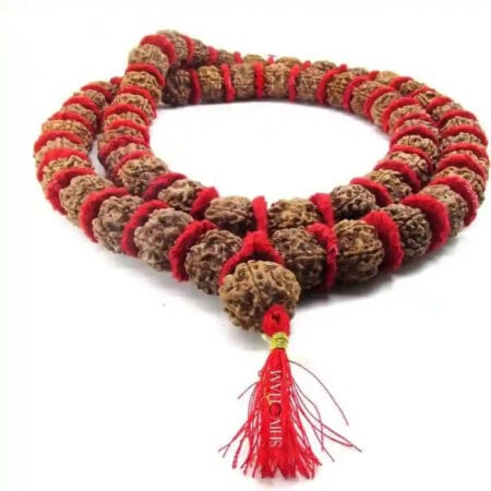 Rudraksha Kantha Mala with Red Cloth Spacing