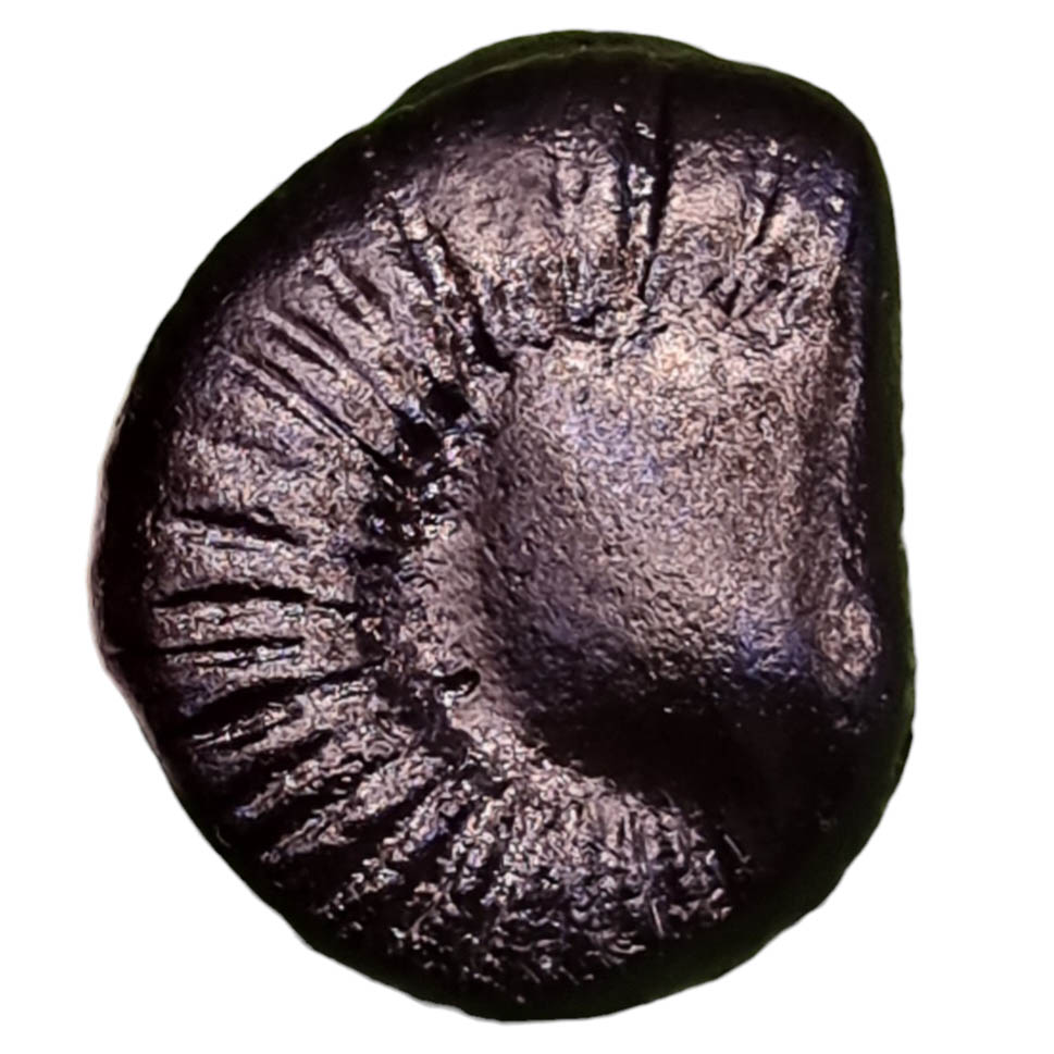 Vishnu Avtar Shaligram